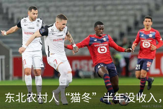 东北农村人“猫冬”半年没收入，一大家子人怎么撑下来的？