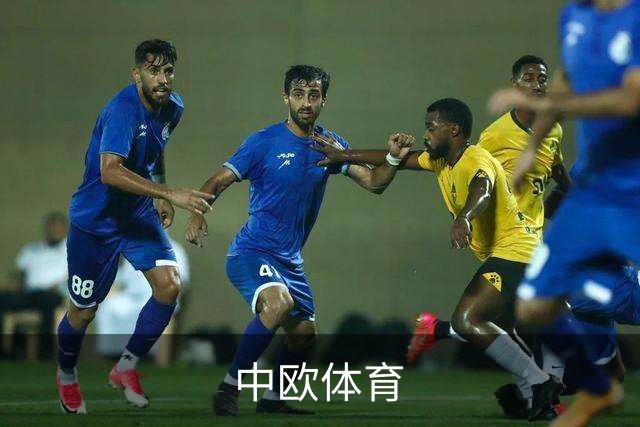中欧体育公司简介