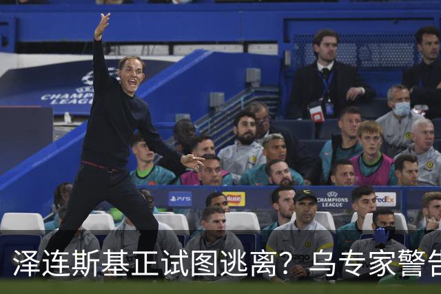 泽连斯基正试图逃离？乌专家警告：大批乌克兰人将逃往欧洲